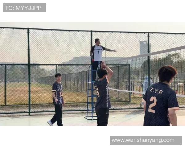 深圳排球队的精神力量与团队意识探讨:排球运动中的团结与拼搏精神